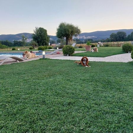 Agriturismo Tenuta Filippi Narni Bagian luar foto