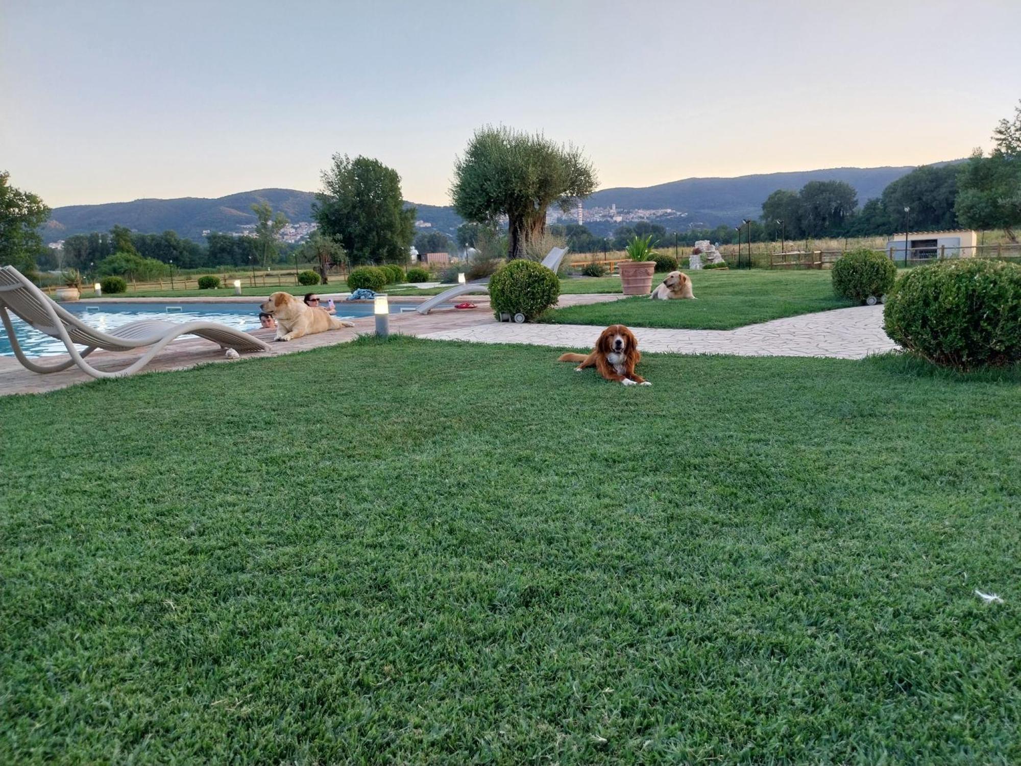 Agriturismo Tenuta Filippi Narni Bagian luar foto