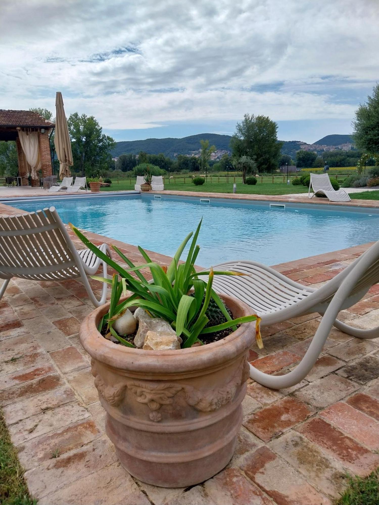 Agriturismo Tenuta Filippi Narni Bagian luar foto