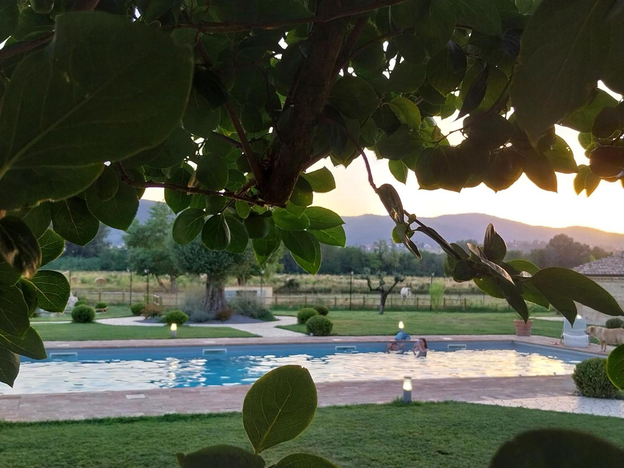 Agriturismo Tenuta Filippi Narni Bagian luar foto
